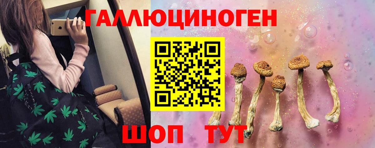 купить наркотик  Галлюциногенные грибы Cubensis  Вход с VPN  Новошахтинск 