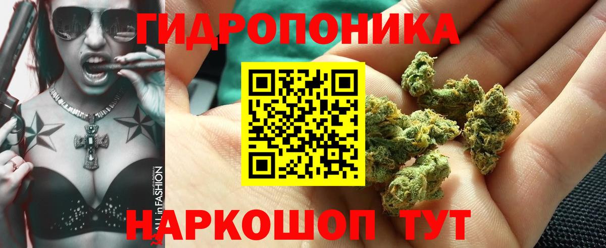 Конопля Bruce Banner Новошахтинск
